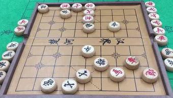 仙女象棋爆料网站大全最新